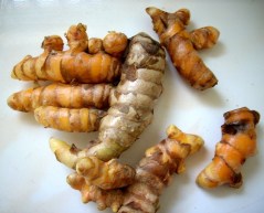 curcuma