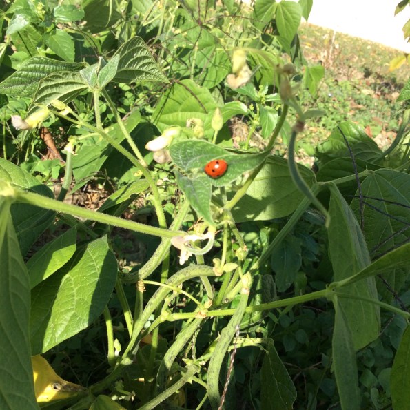 ADE12458-6F69-457B-BB7F-3AF0AEDC13C6